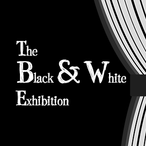 Artlab Black and White Exhibition