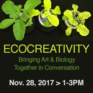 Ecocreativity_Calendar_Image